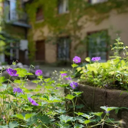 Zum Roten Baeren 3* Freiburg im Breisgau